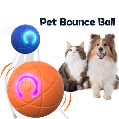 Pet Bouncing Ball for Cats & Dogs