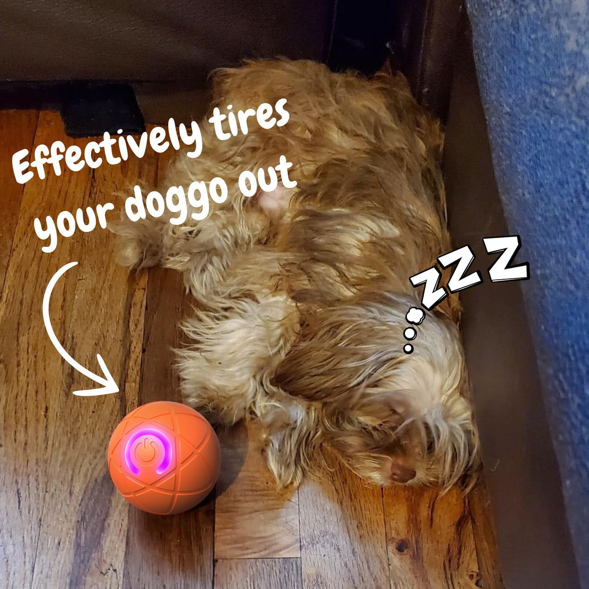 Pet Bouncing Ball for Cats & Dogs