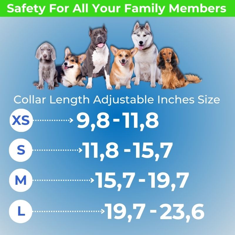 LED Safety Collar