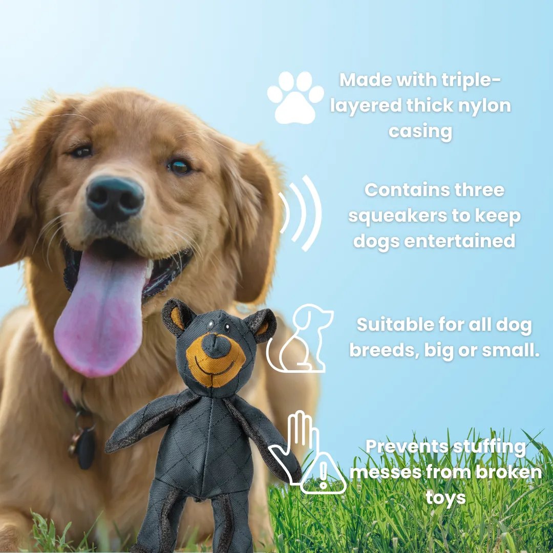 Unbreak-Bear | Indestructable Dog Chew Toy