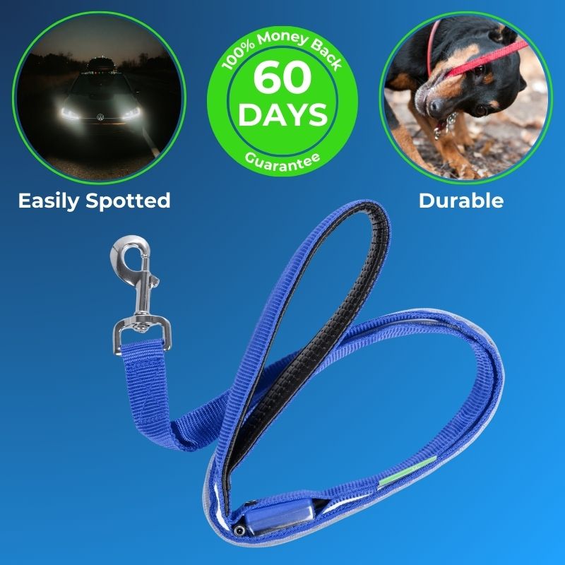 LED Safety Leash