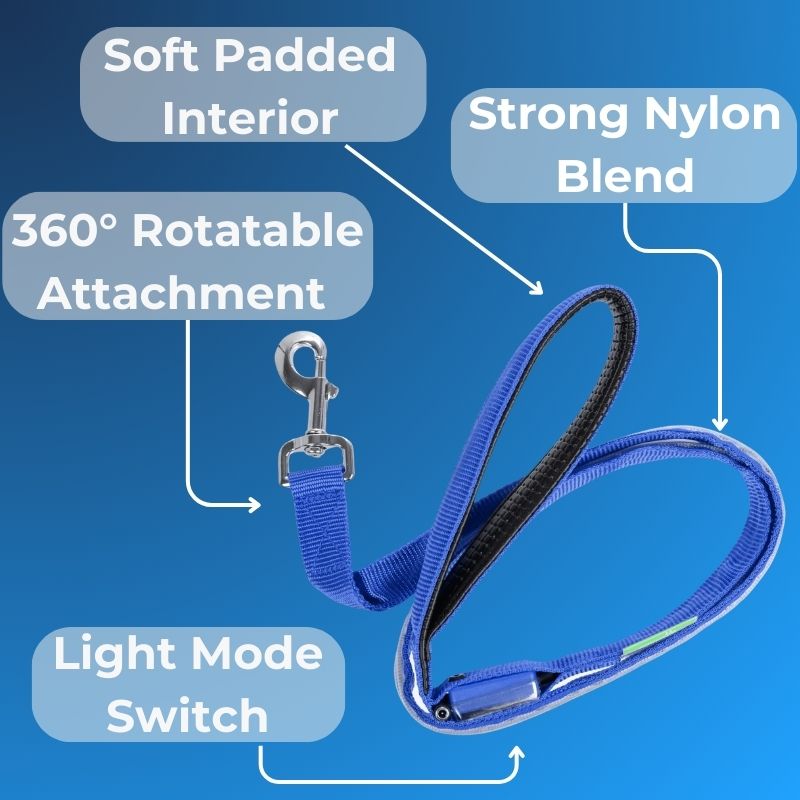 LED Safety Leash