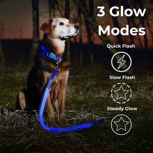 LED Safety Leash
