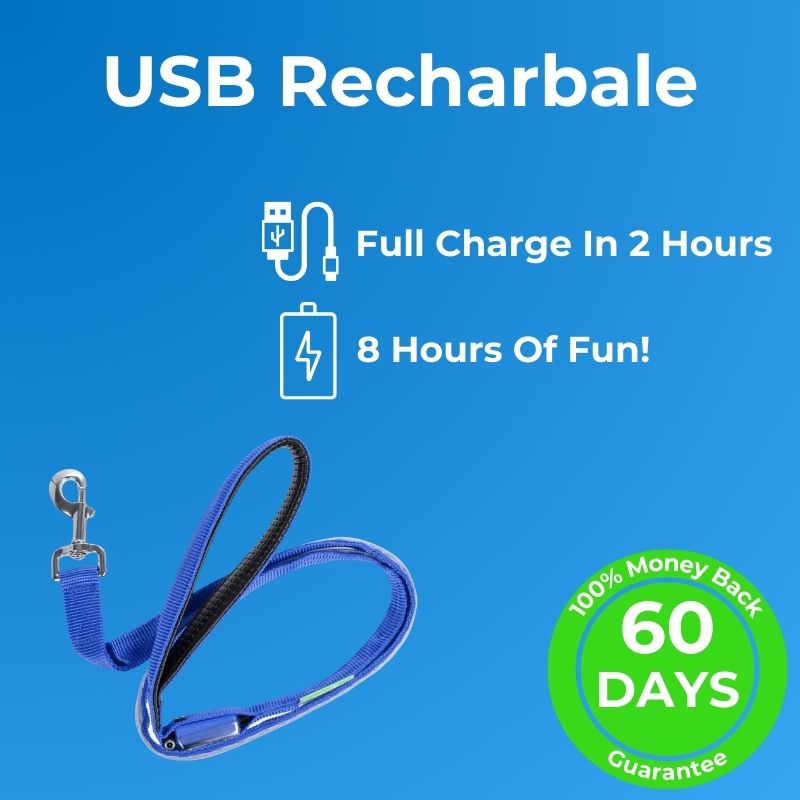 LED Safety Leash