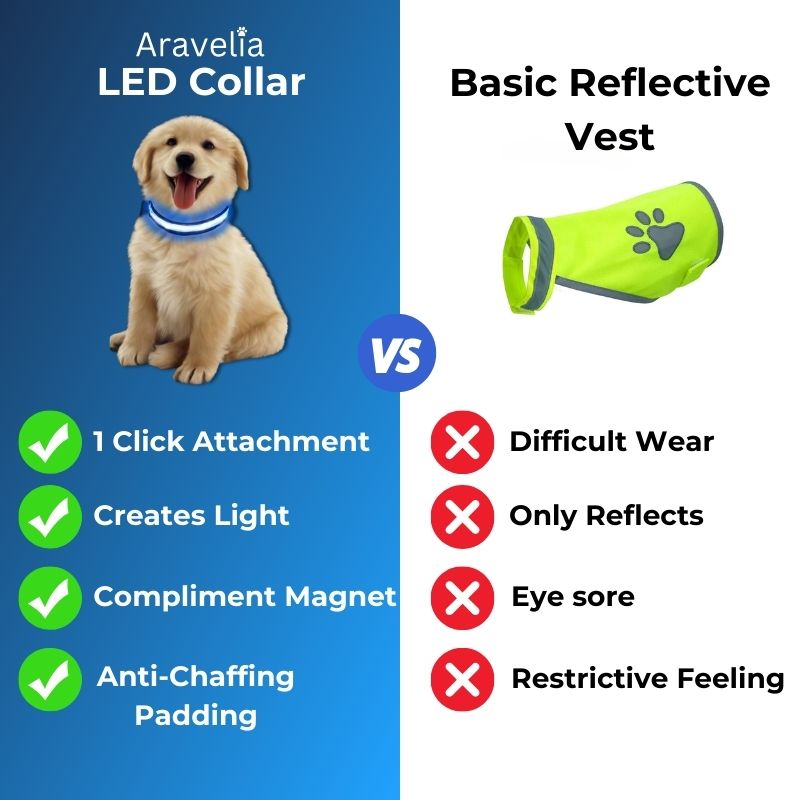 LED Safety Collar