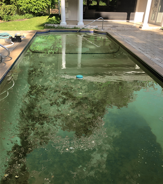 Before water appearance — source pool comparison