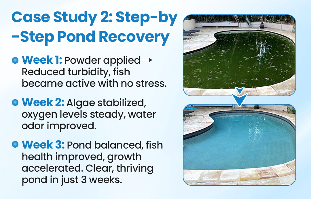 Aqua-Sentra water treatment — feature illustration 12