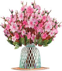 Cherry Blossom