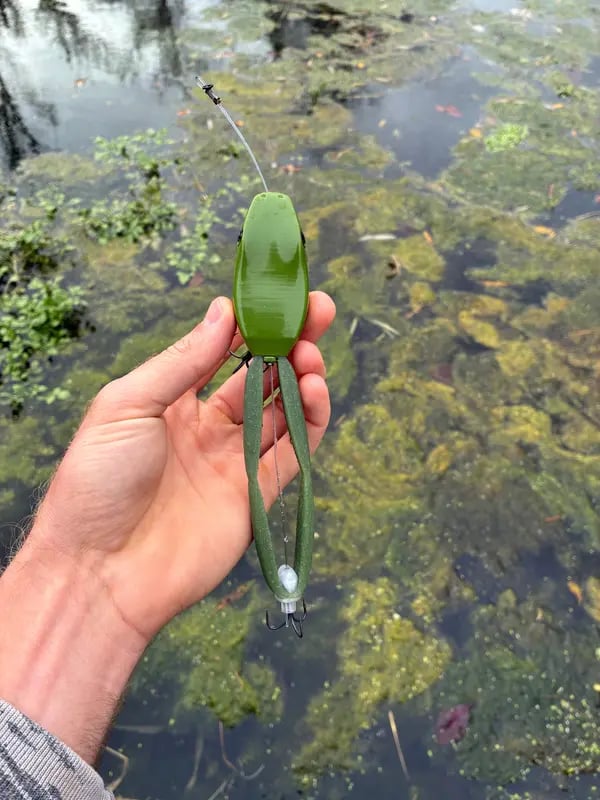 Green frog lure viewed from above