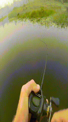 Frog lure movement on the water