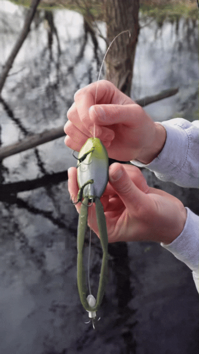 Topwater frog lure in use
