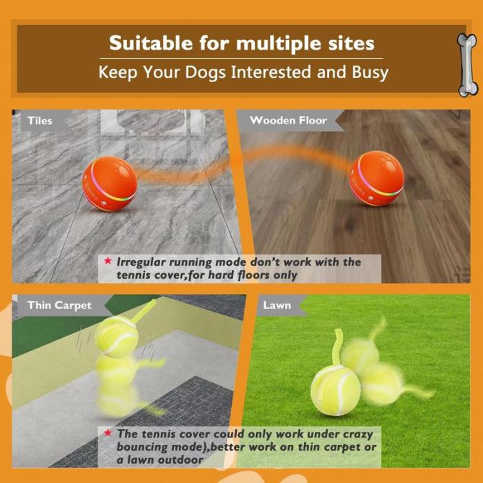 Zoomie Ball | Playtime, even when you can't