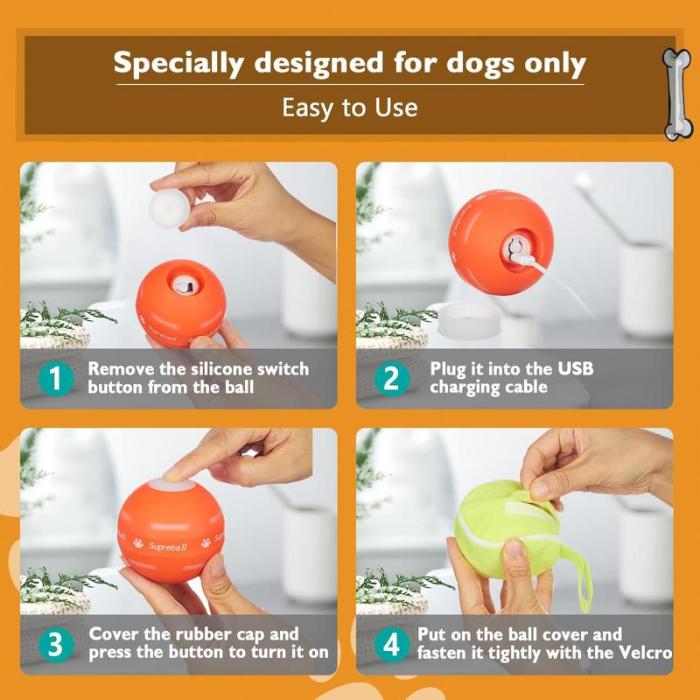 Zoomie Ball | Playtime, even when you can't
