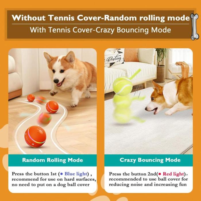 Zoomie Ball | Playtime, even when you can't